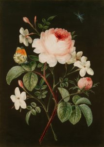 Gesteck aus Rose und Jasmin