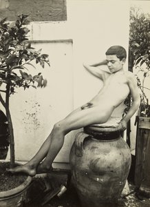 [Alaston nuori puutarhassa] tekijältä Baron Wilhelm von Gloeden