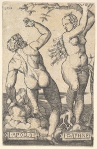 Apollo ja Daphne kääntökopio.n.d.