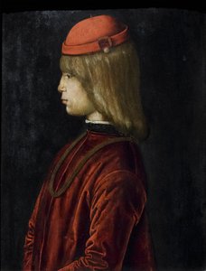 Muotokuva Guidubaldo da Montefeltrosta, noin 1480-81 (öljy paneelille). tekijältä Bartolomeo (attr. to) Della Gatta