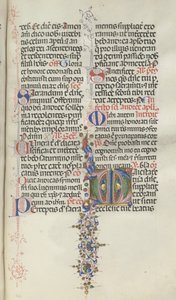 Missale: Fol. 260: Lehdet hedelmillä, 1469