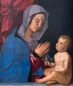 Madonna ja lapsi, n.1503 (öljy puulevylle) tekijältä Bartolomeo Montagna