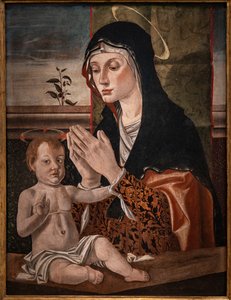Madonna Jeesus-lapsen kanssa tekijältä Bartolomeo Montagna