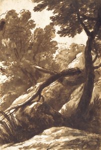Metsäinen maisema tekijältä Bartolomeo Torregiani