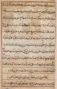 Sivu julkaisusta Tales of a Parrot Tuti-nama: tekstisivu, n. 1560. tekijältä Basavana