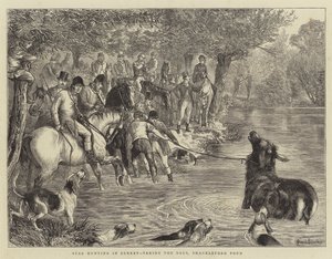 Hirvenmetsästys Surrey, ottaen peuran, Shackleford Pond