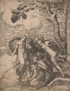 Mooseksen löytö, 1540-luku. tekijältä Battista del Moro