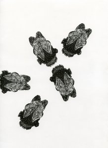Kimalaisen kokous, 2013 (puukaiverrus paperille) tekijältä Bella Larsson