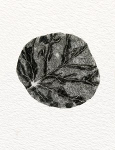 Lehti, 2014, (puukaiverrus paperille) tekijältä Bella Larsson