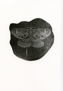 Night Butterfly, 2016, (puukaiverrus paperille)