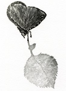 Jännitys, 2014 (puukaiverrus, kollaasi paperille) tekijältä Bella Larsson