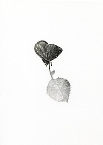Jännitys, 2014 (puukaiverrus paperille) tekijältä Bella Larsson