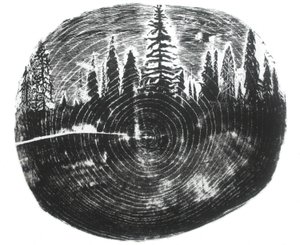 Kaksi metsää, 2016 (puukaiverrus paperille) tekijältä Bella Larsson