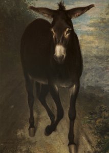 Sisilian aasi
