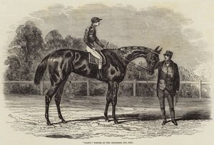 Nancy, Goodwood Cupin voittaja, 1851