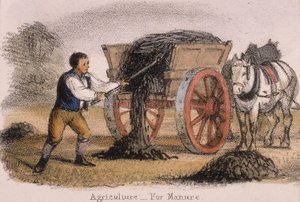Maatalous, lantaa varten, c1845