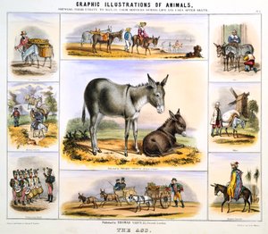 Perse, c1850