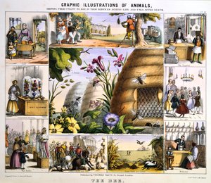 Mehiläinen, c1850