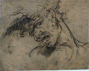 Huutavan miehen pää (recto) tekijältä Benjamin West