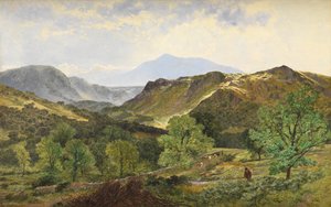 Moel Siabod - Nahkalaaksossa, 1871 tekijältä Benjamin Williams Leader