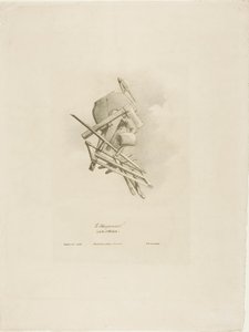 Carpenter, Arts et Métiers