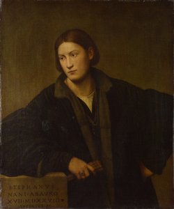 Stefano Nanin muotokuva, 1528