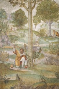 Cephalus piilottelee jalokiviä tekijältä Bernardino Luini