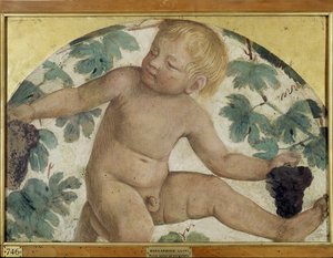 Sadonkorjuuputti - Putto pergolan alla, n. 1514 (irrotettu fresko aluksella) tekijältä Bernardino Luini