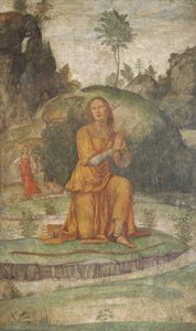 Prokriksen rukous Dianalle, n. 15201522. tekijältä Bernardino Luini