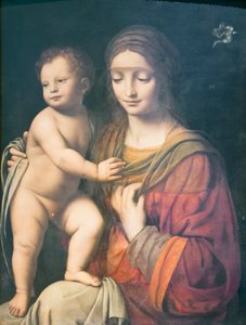 Neitsyt ja lapsi tekijältä Bernardino Luini