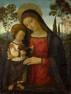 Madonna ja lapsi, noin 1490-1495 (tempera paneelissa)