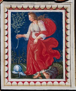 Piccolomini-kirjasto, katto, paneeli, jossa on allegoria rauhasta, fresko Bernardino di Betto, joka tunnetaan nimellä Pinturicchio.