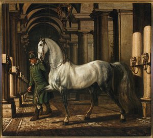  tekijältä Bernardo Bellotto