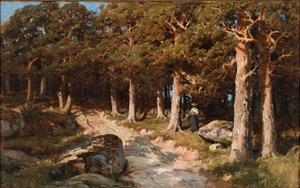Nainen metsässä