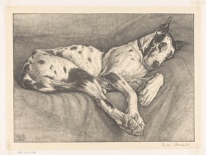 Acabat del gos dormint tekijältä Bertha van Hasselt (signed by artist)