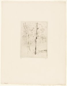 Bois de Boulognen järvi tekijältä Berthe Morisot