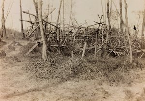Albumi ensimmäisestä maailmansodasta Friuli-Venezia Giuliassa: puolustava este (friisihevoset), 05/1916 (b / v kuva) tekijältä Bertoni Bertoni