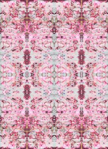 Burgandy Rose, 2015 (sekatekniikka, kuvitus, digitaalinen)