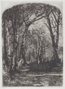 Woods [Bosco], n. 1895.