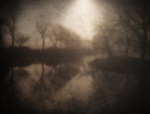 Sumuisen metsän heijastus tekijältä Bill Eiffert