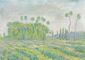 Ranskalainen:  Giverny, Peupliers des Ajoux: Giverny, Peupliers des Ajoux