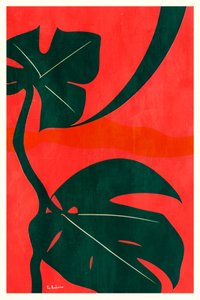 Monstera-viidakon lehdet tekijältä Bo Anderson