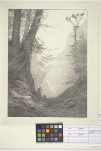 Isot setrit (muste paperille, litografia) tekijältä Bolton Coit Brown