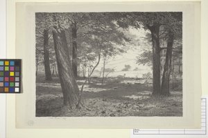 Edge Of The Woods (muste paperille)