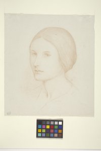 Eleanor (muste paperille)