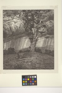 Myrsky (muste paperille)