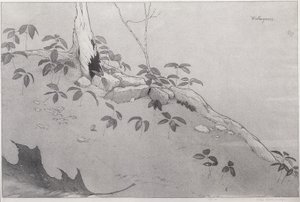 Winter-Greens (muste paperille)