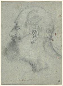 Parrakkaan miehen pää, profiilissa vasemmalla tekijältä Bonifazio Veronese (attributed to)