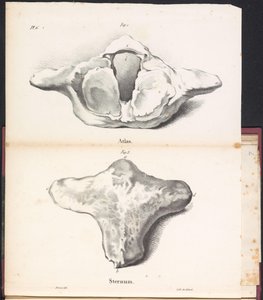 Valaan atlas ja rintalastan, 1827 Atlas / Rintalasta (otsikko esineessä)