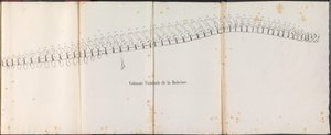 Valaan selkäranka, 1827 Colonne Vertébrale de la Baleine (otsikko esineessä)